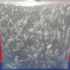 Drudkh/Paysage D'Hiver - Somewhere Sadness/Schnee M-/M- LP - pikkukuva 2