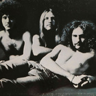 Grand Funk - Phoenix *original US gatefold vinyl LP* - pikkukuva 2
