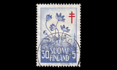 495 o Tuberkuloosi loisto Kuusankoski 10.6.59 (1958)