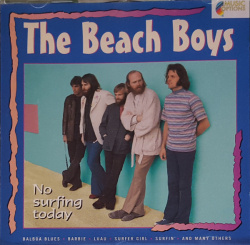 The Beach Boys - No Surfing Today (CD)