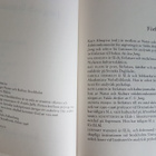jung och litteraturen - pikkukuva 3