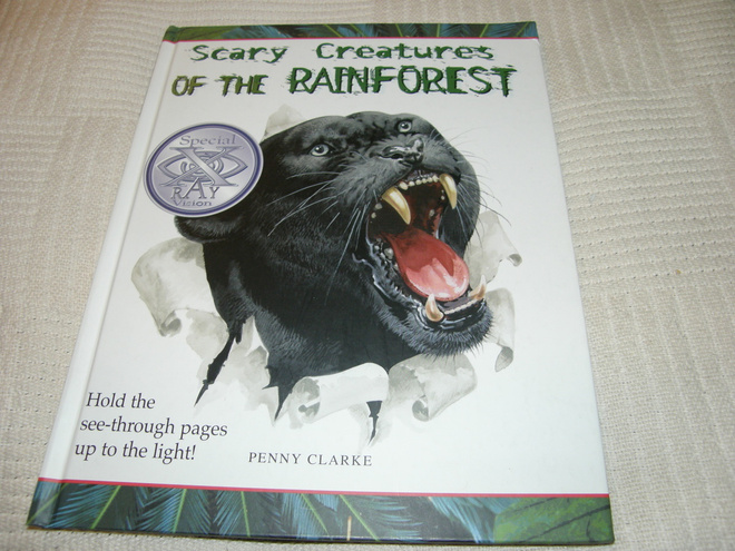 Penny Clarke Scary Creatures of The Rainforest