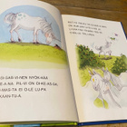 YKSISARVINEN JA ONNENTÄHTI, kovakantinen - pikkukuva 5