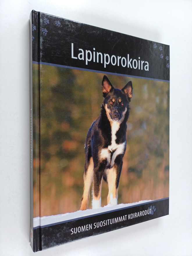 Lapinporokoira