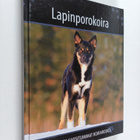 Lapinporokoira - pikkukuva 1