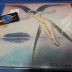 HEIKKI VALPOLA - PÄIVÄLINTU M-/M- SUOMI 1987 PAINOS LP - pikkukuva 1