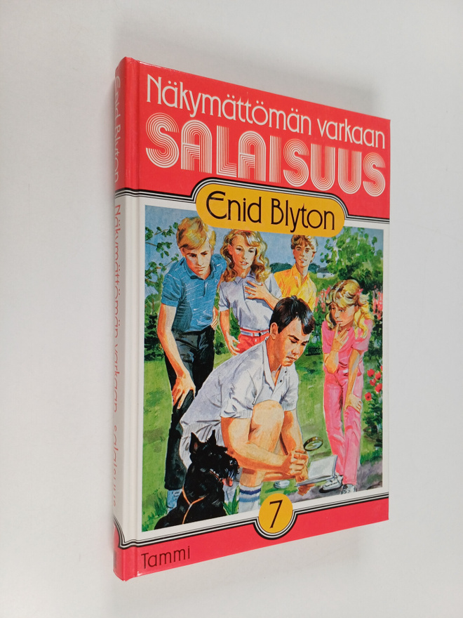 Enid Blyton : Näkymättömän varkaan salaisuus