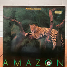 Matti Rag Paananen - Amazon LP - pikkukuva 1