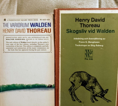 Henry Thoreau: Skogsliv vid Walden.