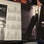 Melissa Etheridge Brave and crazy lp Island BONO - pikkukuva 2