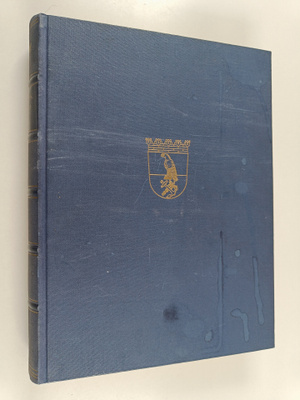 Kotkan historia 2
