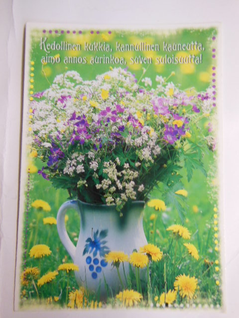 Kedollinen kukkia, kannullinen kauneutta...