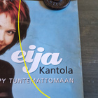 Eija Kantola Keikkajuliste 51.  70×50cm - pikkukuva 3