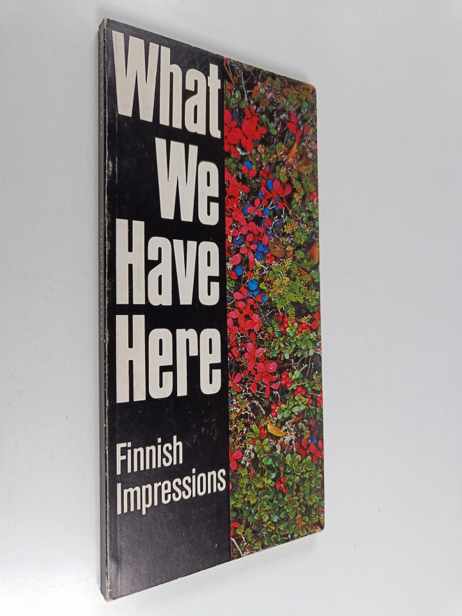 Erik Bruun : What we have here : Finnish impressions