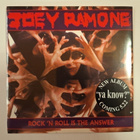 Joey Ramone Rock 'N Roll Is The Answer 7" sinkku Punainen - pikkukuva 1
