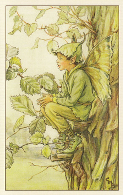 Cicely Mary Barker: Kukkakeijut jalava