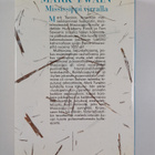 Mark Twain : Mississippi-virralla - pikkukuva 2