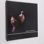 Annu Mallinick : Glass in Sculpture : A Canadian Contribu... - pikkukuva 1