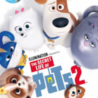 Lemmikkien salainen elämä 2 dvd elokuva - pikkukuva 1