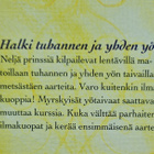Sana paniikki sanapeli .Uudenveroinen - pikkukuva 5