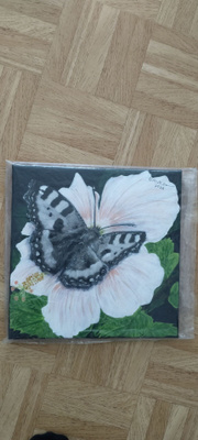 AKVARELLI NOKKOSPERHONEN HIBISKUKASSA 30 x 30 cm