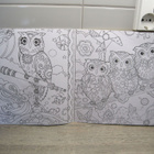 PÖLLÖ (owls) VÄRITYSKIRJA - pikkukuva 5