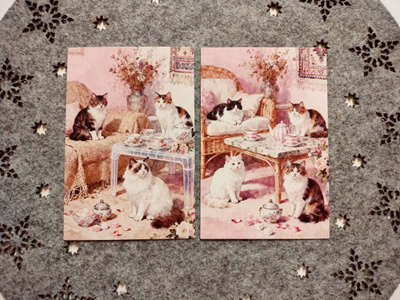 ~Kissa kortti~ 2kpl