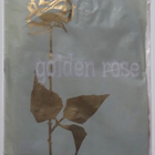 Golden Rose ohuet nylonsukat koko 9,5 - pikkukuva 1