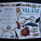 Tieto Merkurius kirja: Valaat (Helsinki Media 1998) - pikkukuva 2