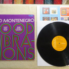 HUGO MONTENEGRO: Good Vibrations LP (1969 USA) Easy listeni - pikkukuva 1