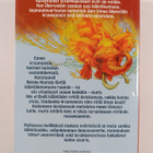Terry Pratchett : Maanalainen elefantti - pikkukuva 2