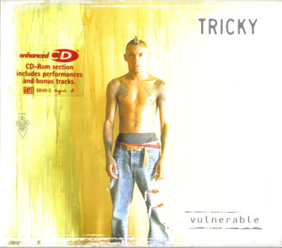 Tricky - Vulnerable