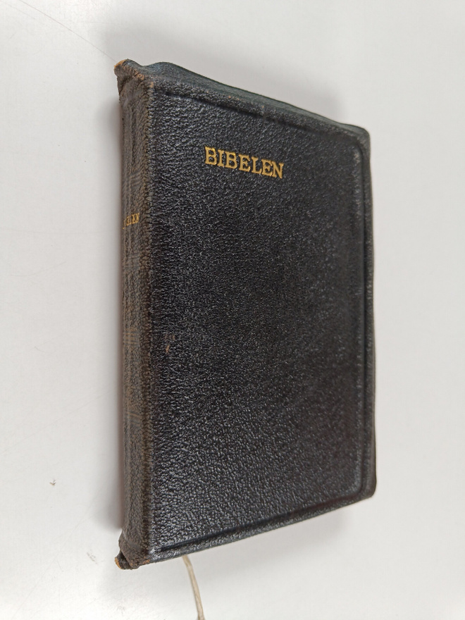 Bibelen : eller den hellige skrift : det Gamle og det Nye...