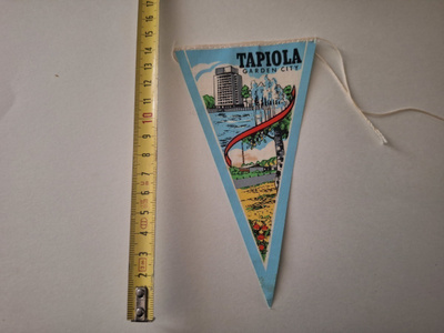 TAPIOLA VIIRI