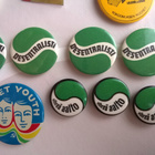 Pinssit - Politiikka - pikkukuva 5