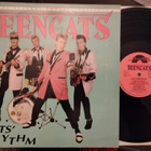 Teencats LP - pikkukuva 1