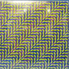 ANIMAL COLLECTIVE - MERRIWEATHER POST PAVILION - UUSI 180gLP - pikkukuva 2