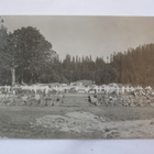 VANHA Postikortti Janakkala Sankarihaudat 1940-luku - pikkukuva 1