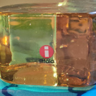Iittala lasilintu minä perhonen, signeerattu, Akira Minagawa - pikkukuva 3