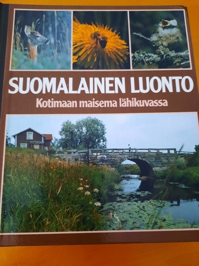 Suomalainen luonto kotimaan maisema lähikuvassa