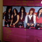 SKIN & BONES :: NOT A PRETTY SIGHT :: VINYYLI LP 1990 ! - pikkukuva 2