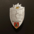 Saksankielinen sotamuistomerkki rintamerkki 1955 - pikkukuva 1