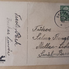 Kolme pikkuleidiä ja kolme tipua oksalla, p. 1945 - pikkukuva 2