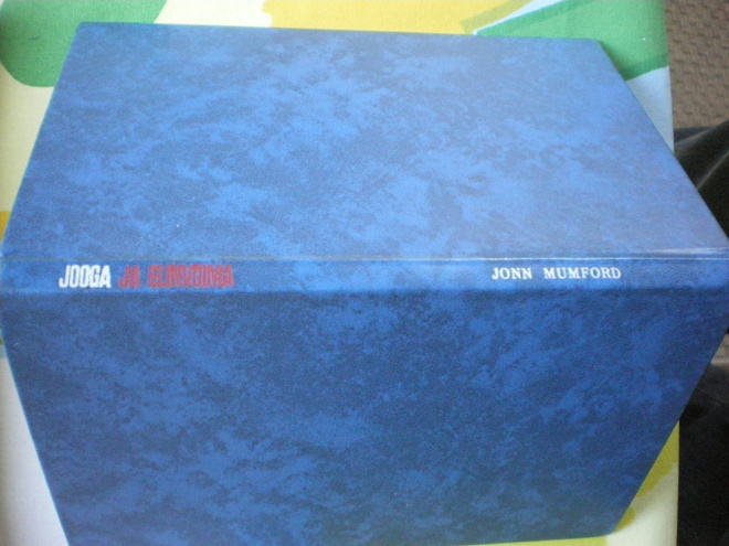 Jooga ja elinvoima - Jonn Mumford