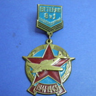 Veteraanimerkki Neuvostoliitto - pikkukuva 1