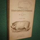 Cramer SIKOJEN HOIDOSTA JA SIITTÄMISESTÄ ( 1p. 1891 ) Sis.pk - pikkukuva 1