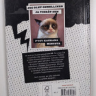 Grumpy cat : Grumpy cat : yrmeä kirja - pikkukuva 2