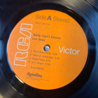Lou Reed - Sally Can’t Dance Lp - pikkukuva 3