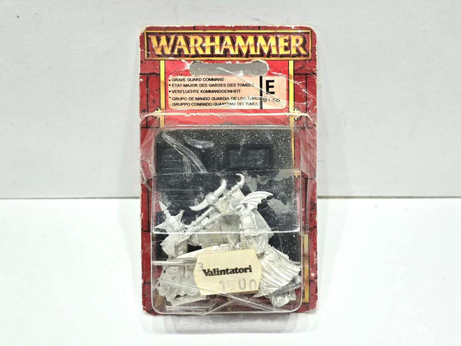 WHFB - Vampire Counts Grave Guard Command Blister