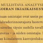 Tommi Vuorinen: Koiransa näköinen - pikkukuva 3